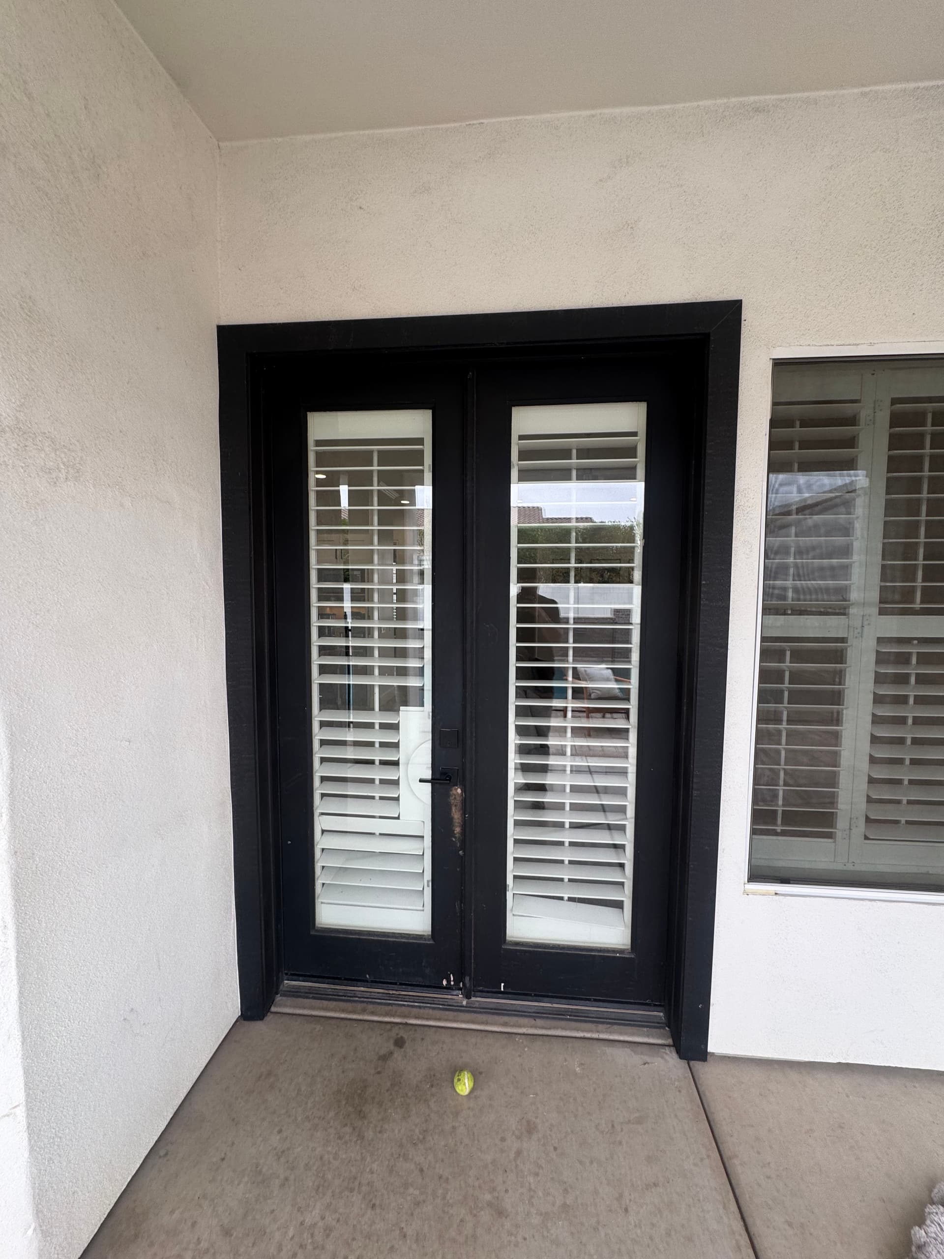 Worn Pet-Damaged Doors Replaced with a Clean Modern Look image