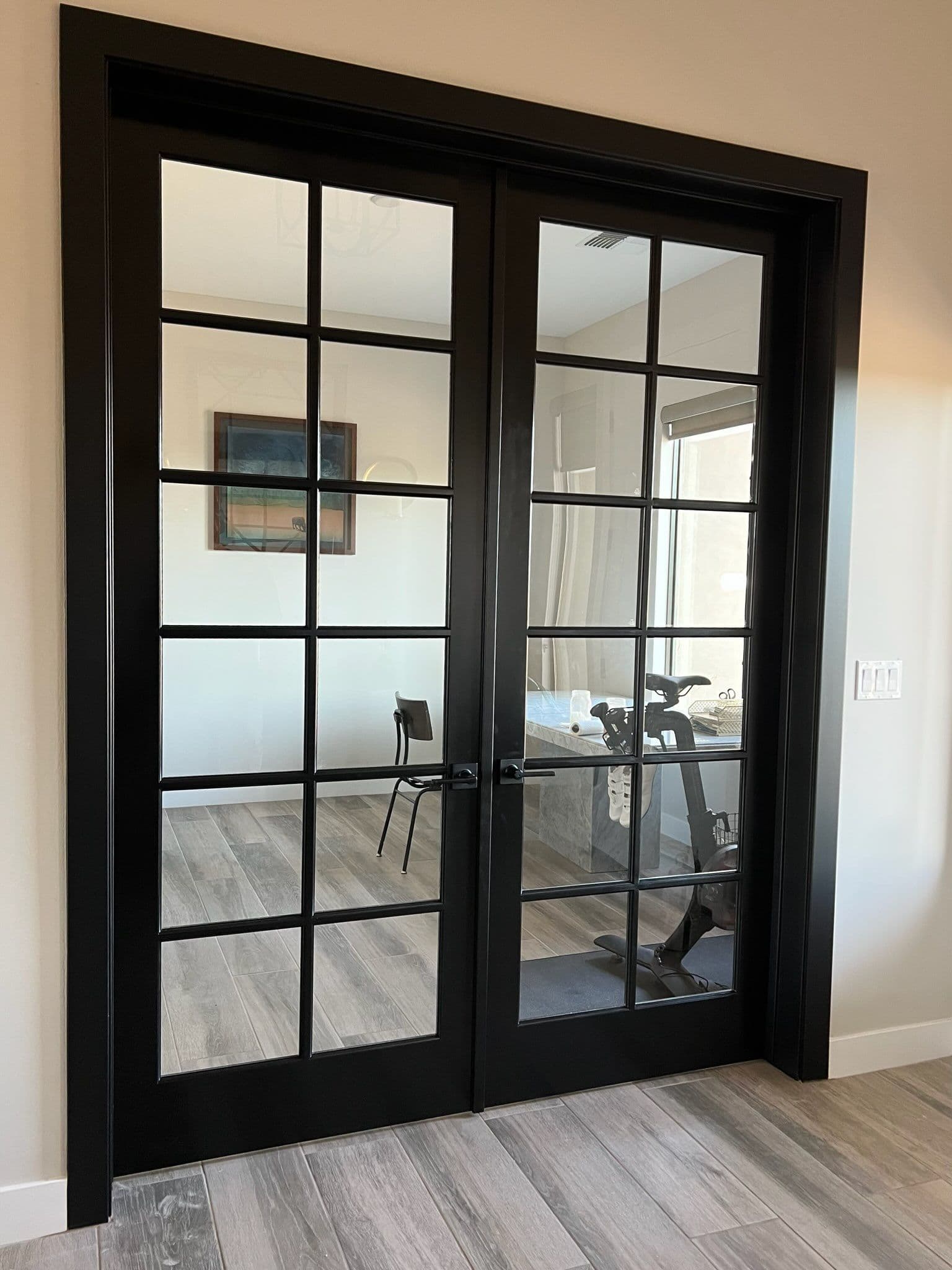 Project Glass Double Doors with Black Frames Installed image