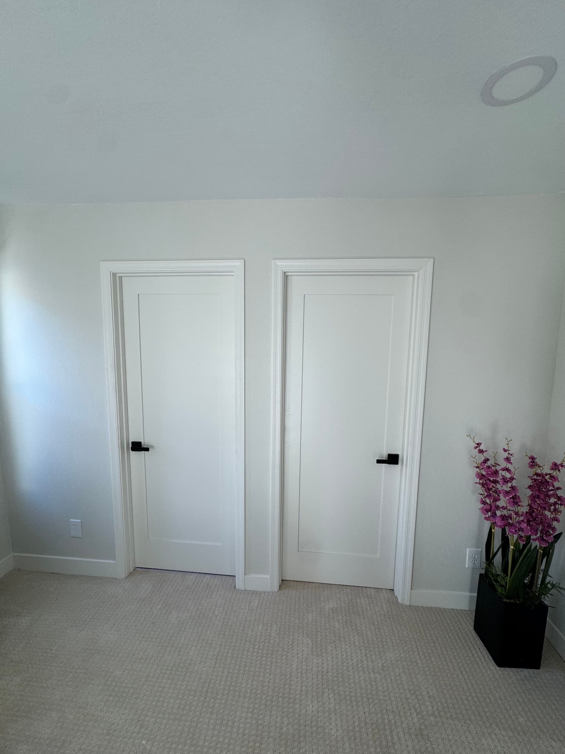 Elevate Your Home with Modern Interior Door Replacements image